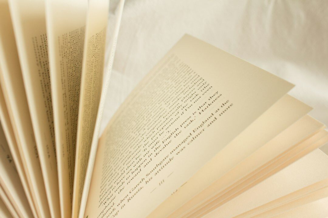 mystery novel pages